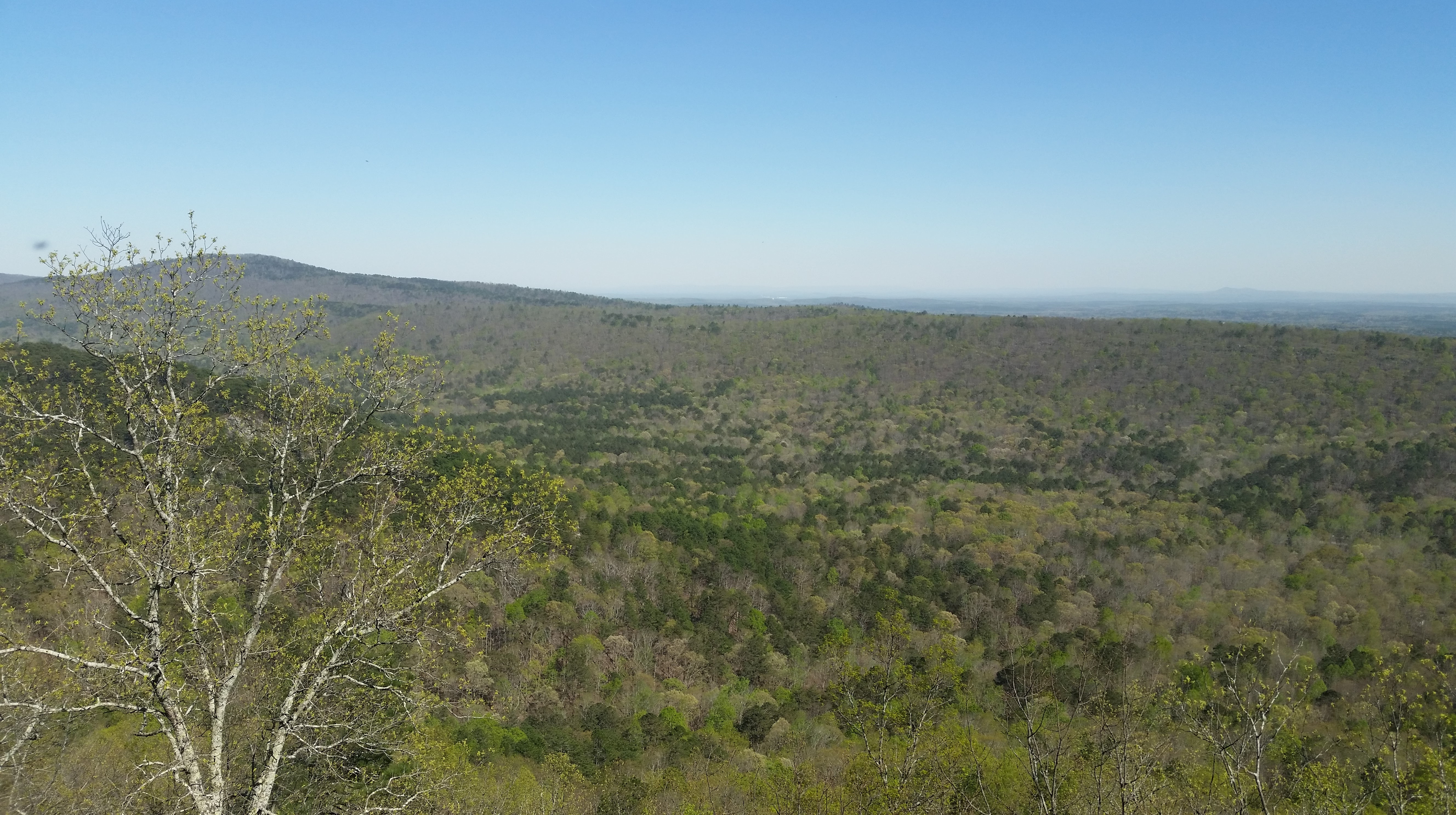 View looking back in the general direction of Clemson beyond Signal Mountain - far beyond the horizon visible in this pic.