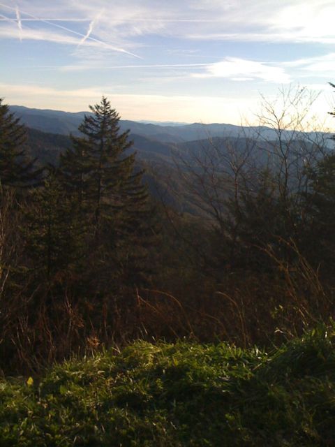 View from near the top of the spur road leading to Clingman's Dome